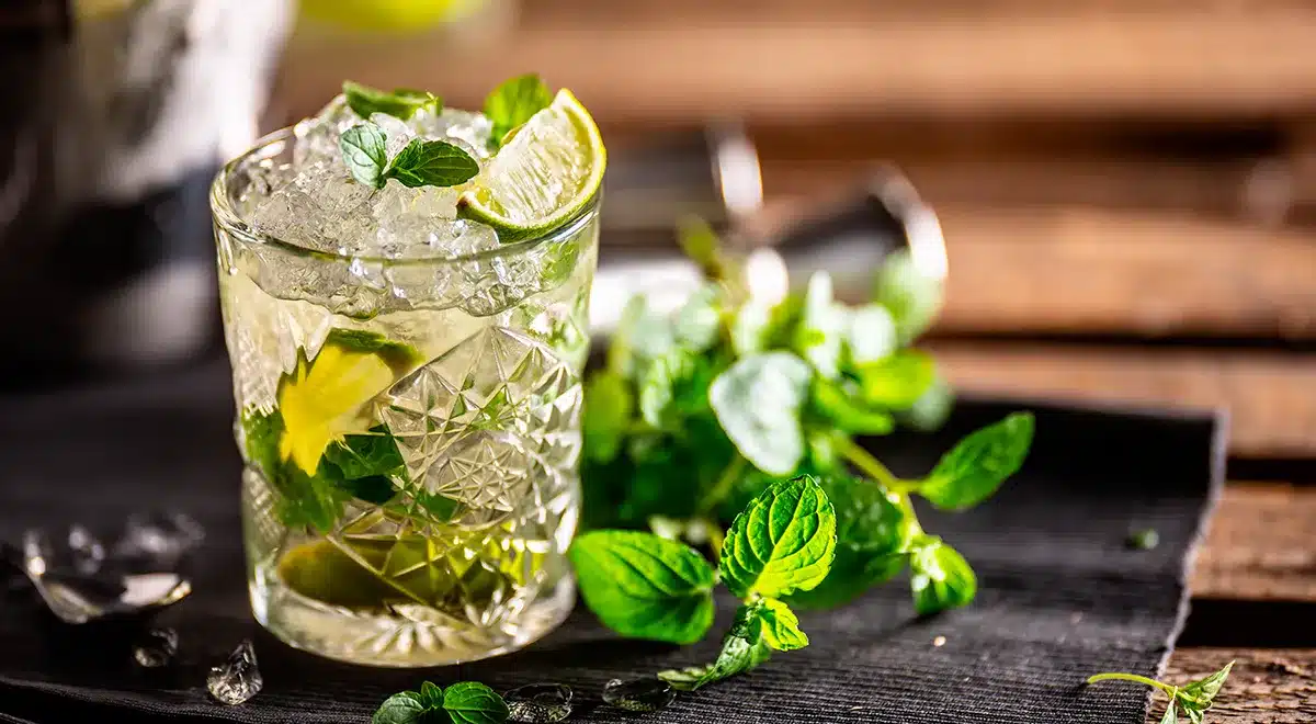 Jak zrobić alkoholowe mojito w domu