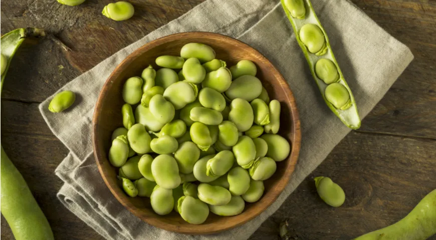 Fasola Fava (fava)