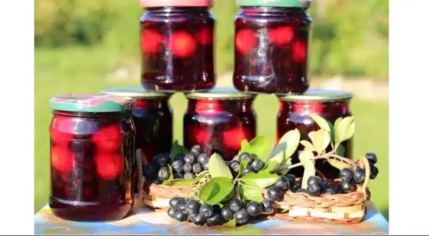 Kompot z aronii i śliwek