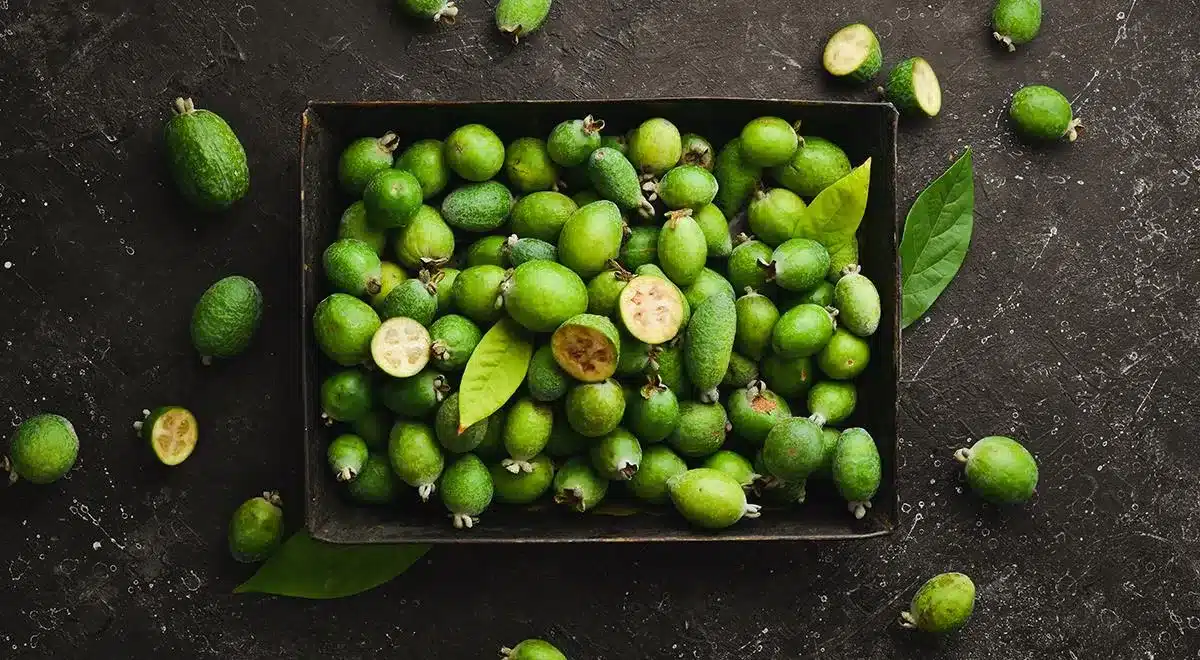 Feijoa